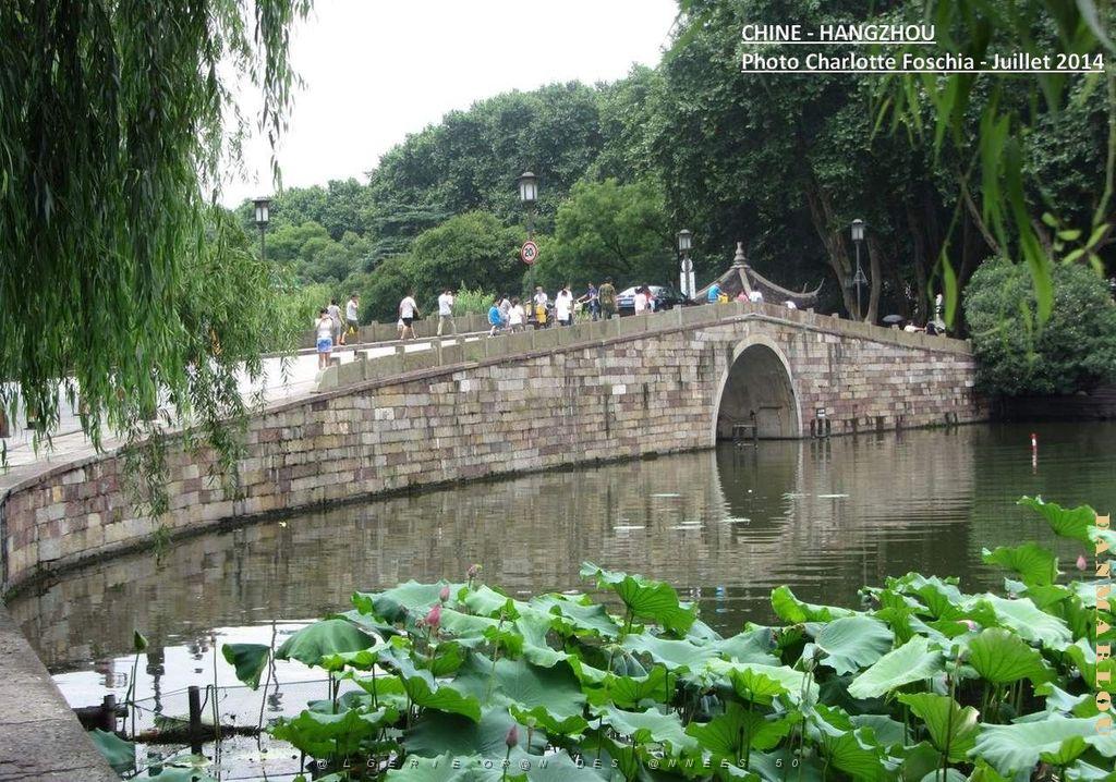 Charlotte- Hangzhou 005.JPG